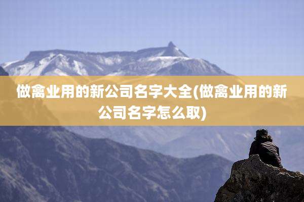 做禽业用的新公司名字大全(做禽业用的新公司名字怎么取)