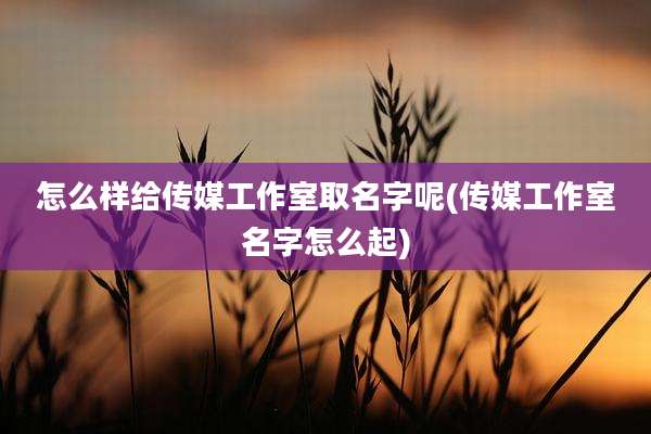 怎么样给传媒工作室取名字呢(传媒工作室名字怎么起)