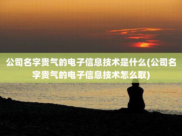 公司名字贵气的电子信息技术是什么(公司名字贵气的电子信息技术怎么取)