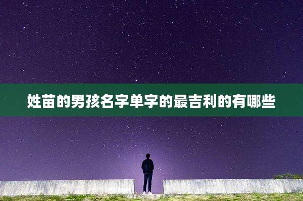 姓苗的男孩名字单字的最吉利的有哪些