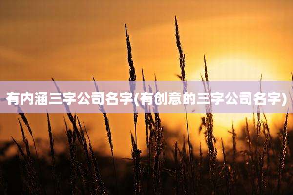 有内涵三字公司名字(有创意的三字公司名字)