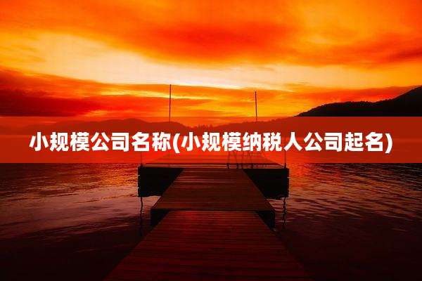 小规模公司名称(小规模纳税人公司起名)