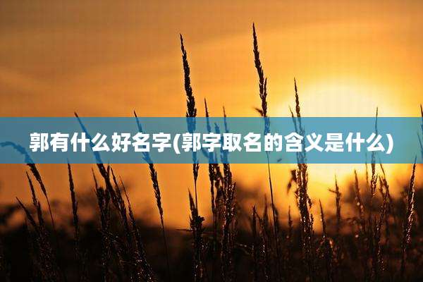 郭有什么好名字(郭字取名的含义是什么)