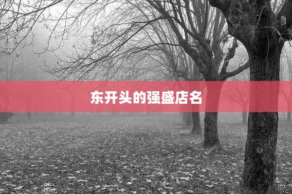 东开头的强盛店名