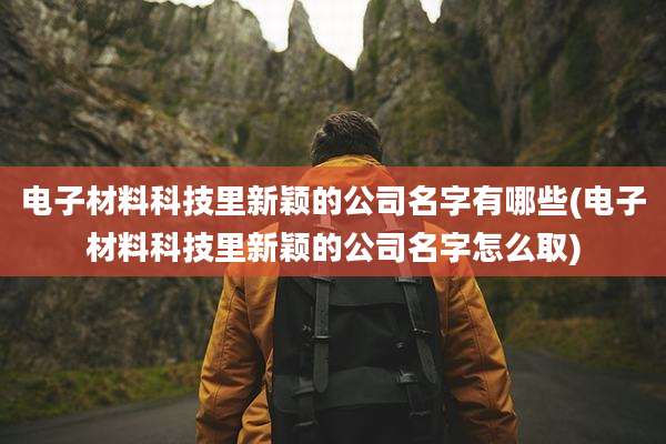电子材料科技里新颖的公司名字有哪些(电子材料科技里新颖的公司名字怎么取)