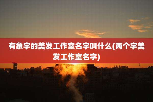 有象字的美发工作室名字叫什么(两个字美发工作室名字)