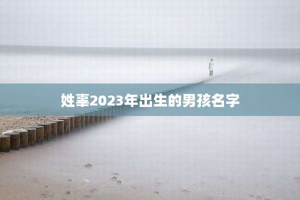 姓辜2023年出生的男孩名字