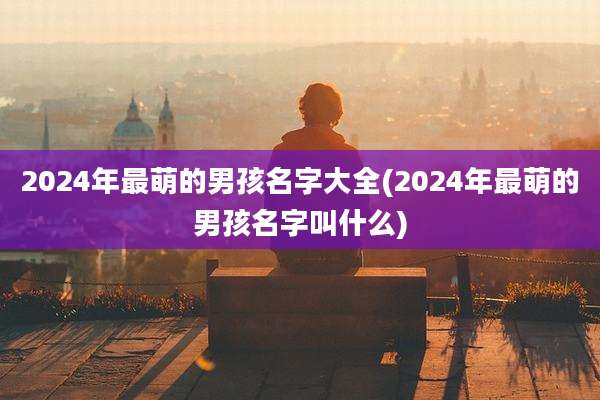 2024年最萌的男孩名字大全(2024年最萌的男孩名字叫什么)