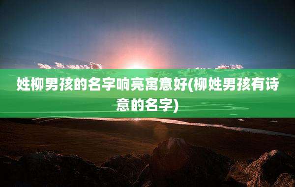 姓柳男孩的名字响亮寓意好(柳姓男孩有诗意的名字)