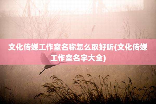文化传媒工作室名称怎么取好听(文化传媒工作室名字大全)