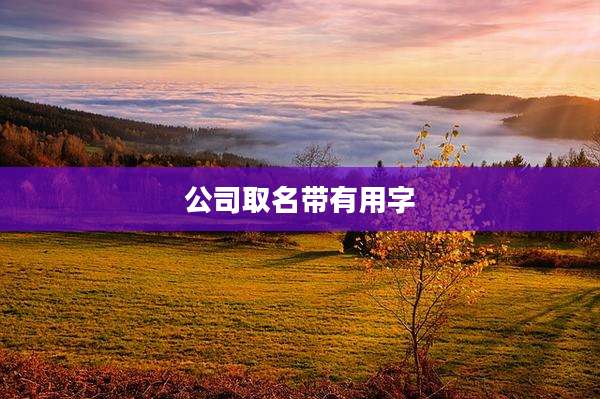 公司取名带有用字