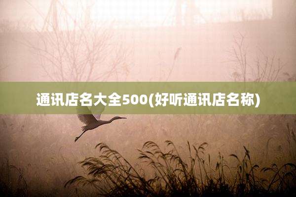 通讯店名大全500(好听通讯店名称)