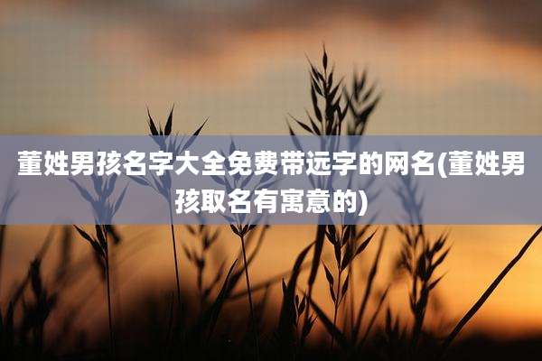 董姓男孩名字大全免费带远字的网名(董姓男孩取名有寓意的)