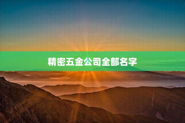 精密五金公司全部名字