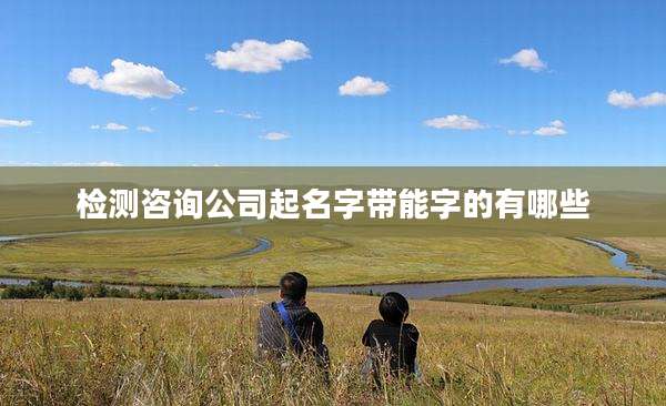 检测咨询公司起名字带能字的有哪些