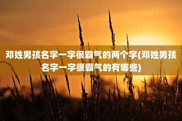 邓姓男孩名字一字很霸气的两个字(邓姓男孩名字一字很霸气的有哪些)