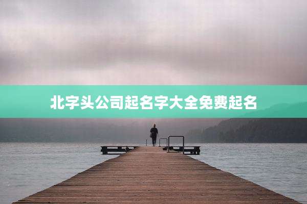 北字头公司起名字大全免费起名