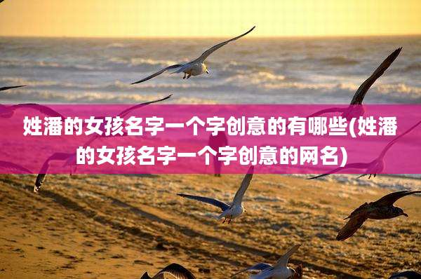 姓潘的女孩名字一个字创意的有哪些(姓潘的女孩名字一个字创意的网名)