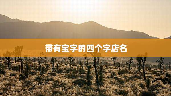 带有宝字的四个字店名