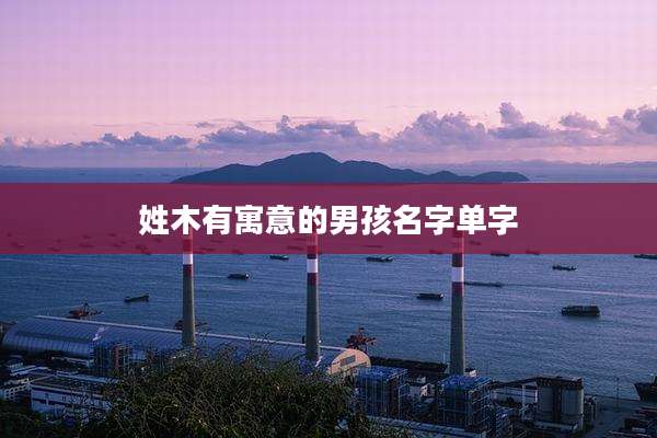姓木有寓意的男孩名字单字