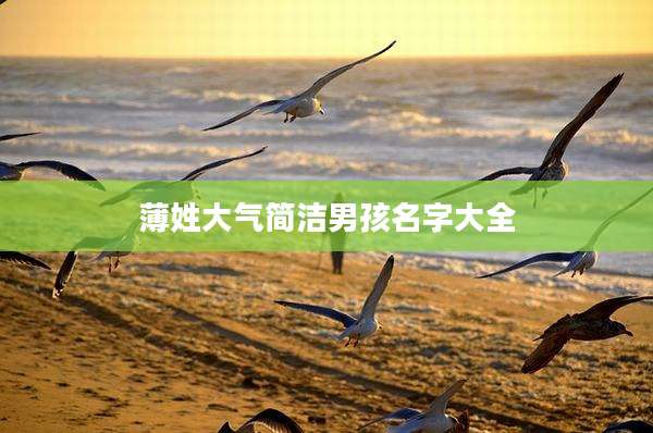 薄姓大气简洁男孩名字大全