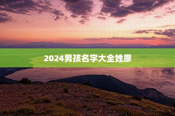 2024男孩名字大全姓廖