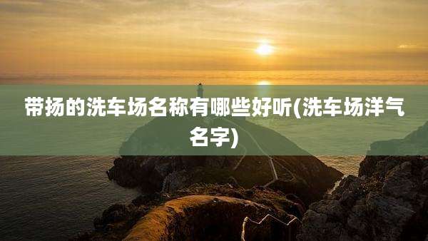 带扬的洗车场名称有哪些好听(洗车场洋气名字)