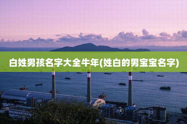 白姓男孩名字大全牛年(姓白的男宝宝名字)