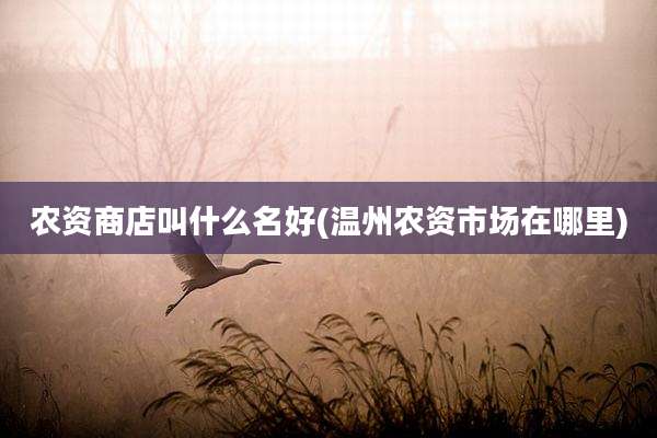 农资商店叫什么名好(温州农资市场在哪里)