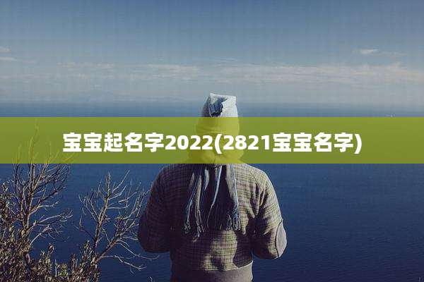 宝宝起名字2022(2821宝宝名字)