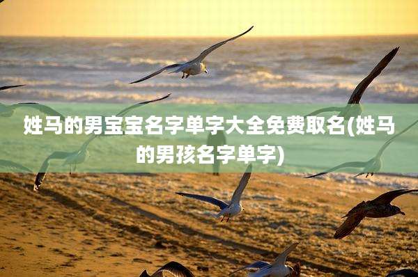 姓马的男宝宝名字单字大全免费取名(姓马的男孩名字单字)