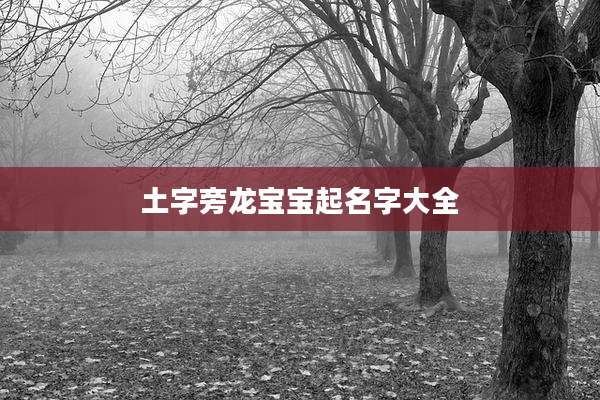 土字旁龙宝宝起名字大全