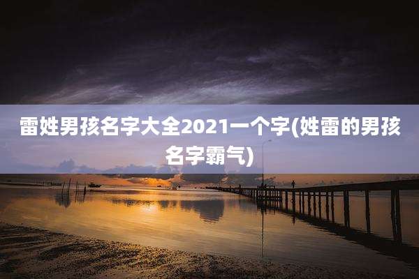 雷姓男孩名字大全2021一个字(姓雷的男孩名字霸气)