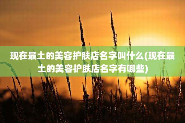 现在最土的美容护肤店名字叫什么(现在最土的美容护肤店名字有哪些)
