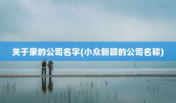 关于蒙的公司名字(小众新颖的公司名称)