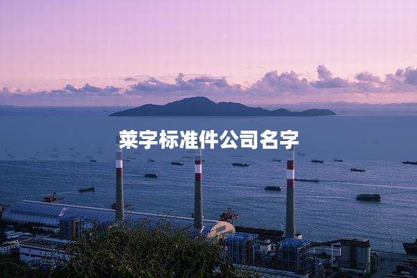 莱字标准件公司名字