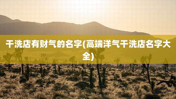 干洗店有财气的名字(高端洋气干洗店名字大全)