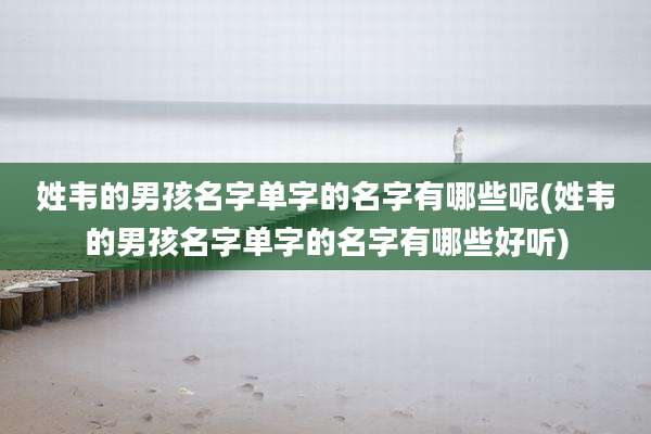 姓韦的男孩名字单字的名字有哪些呢(姓韦的男孩名字单字的名字有哪些好听)