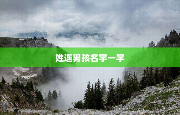 姓连男孩名字一字