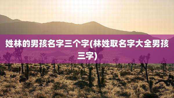 姓林的男孩名字三个字(林姓取名字大全男孩三字)