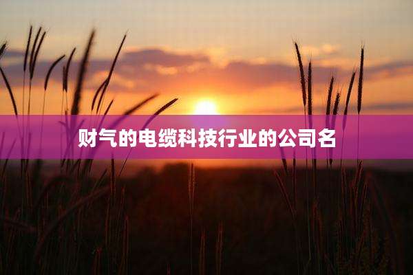 财气的电缆科技行业的公司名