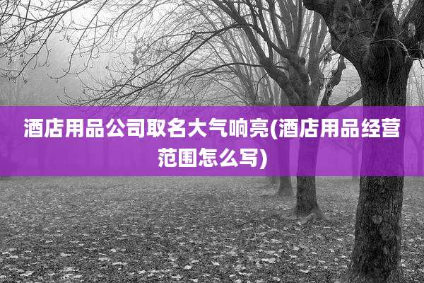 酒店用品公司取名大气响亮(酒店用品经营范围怎么写)