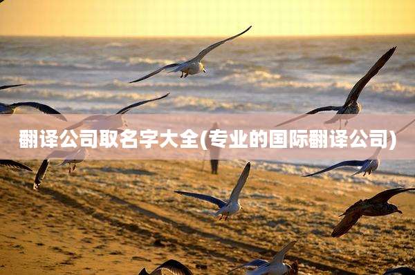 翻译公司取名字大全(专业的国际翻译公司)