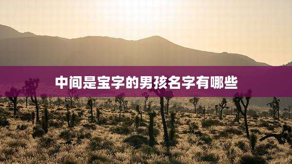 中间是宝字的男孩名字有哪些
