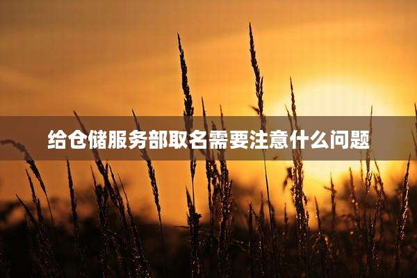 给仓储服务部取名需要注意什么问题