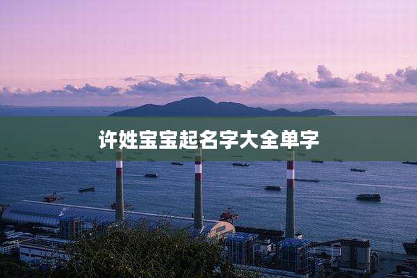 许姓宝宝起名字大全单字