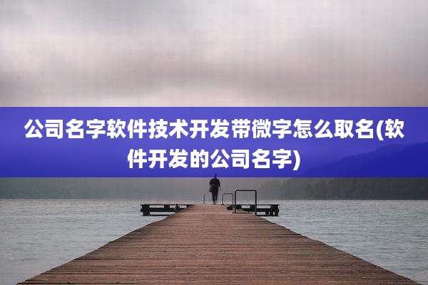 公司名字软件技术开发带微字怎么取名(软件开发的公司名字)