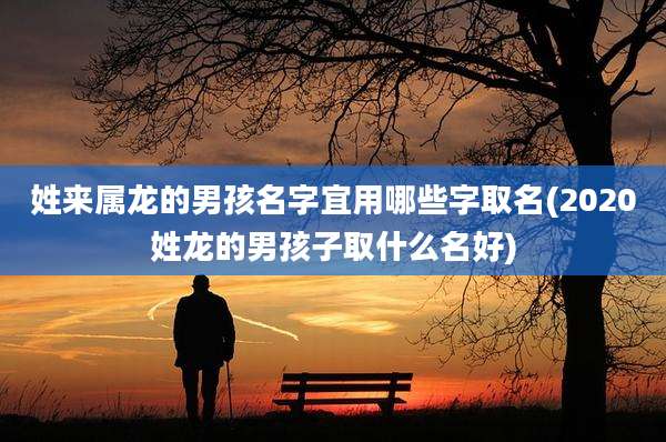姓来属龙的男孩名字宜用哪些字取名(2020姓龙的男孩子取什么名好)