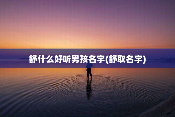 舒什么好听男孩名字(舒取名字)