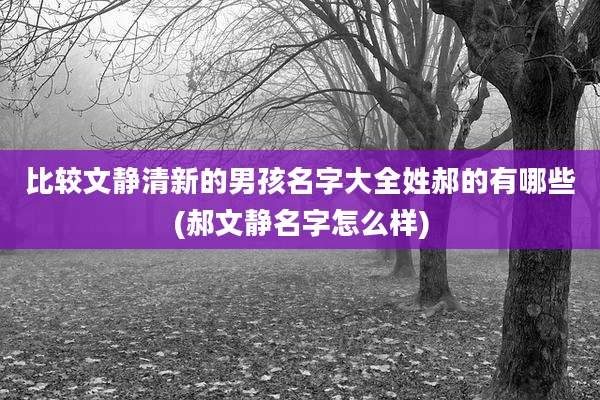 比较文静清新的男孩名字大全姓郝的有哪些(郝文静名字怎么样)